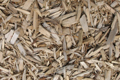 biomass boilers Relugas
